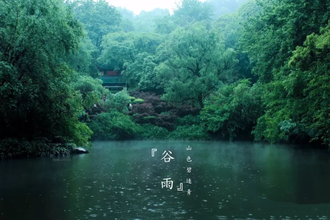 铝合金葡萄架图片 铝合金葡萄架图片