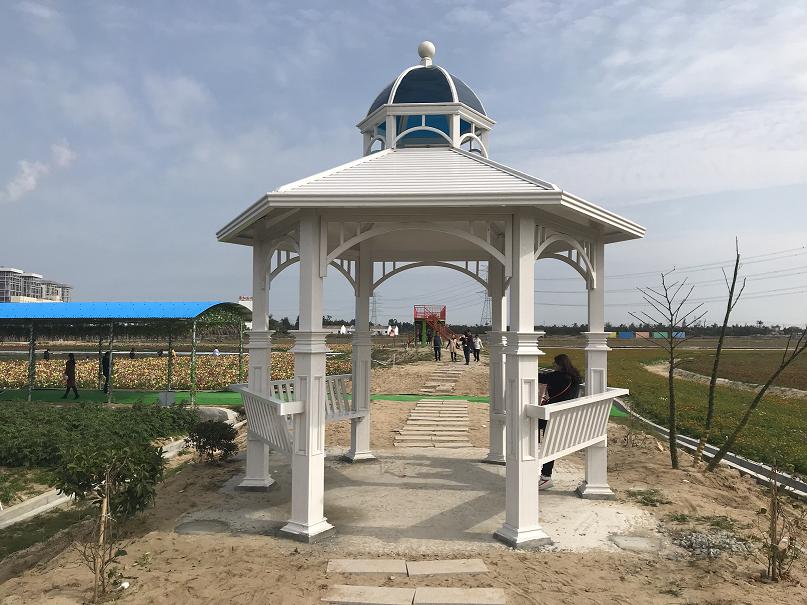 ˫���������Ͻ���ͤ